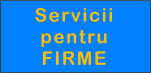 Servicii pentru firme